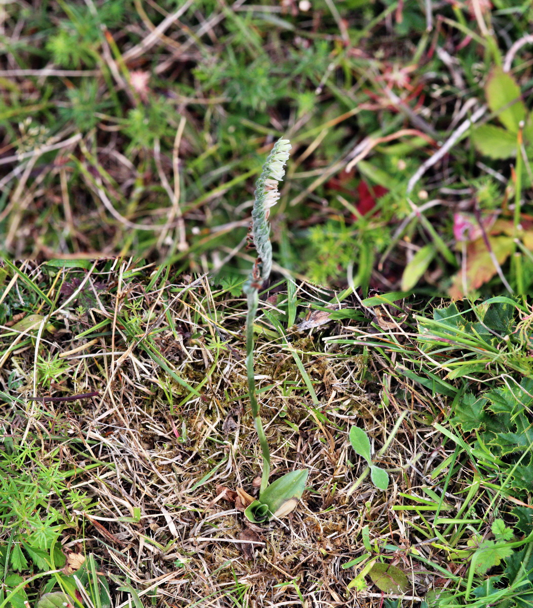 [Group 12]-2013_09_04_00030205_2013_09_04_00030209-2 imagesp_Bildgr��e �ndern