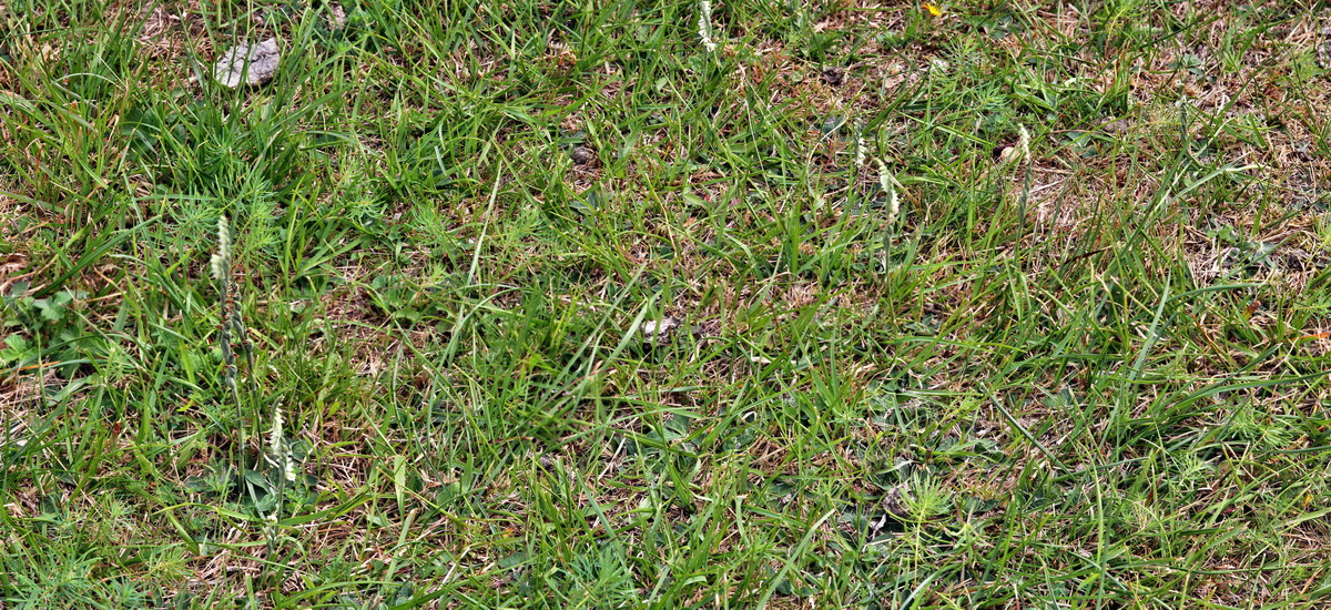 [Group 14]-2013_09_04_00030241_2013_09_04_00030255-6 imagesp_Bildgr��e �ndern