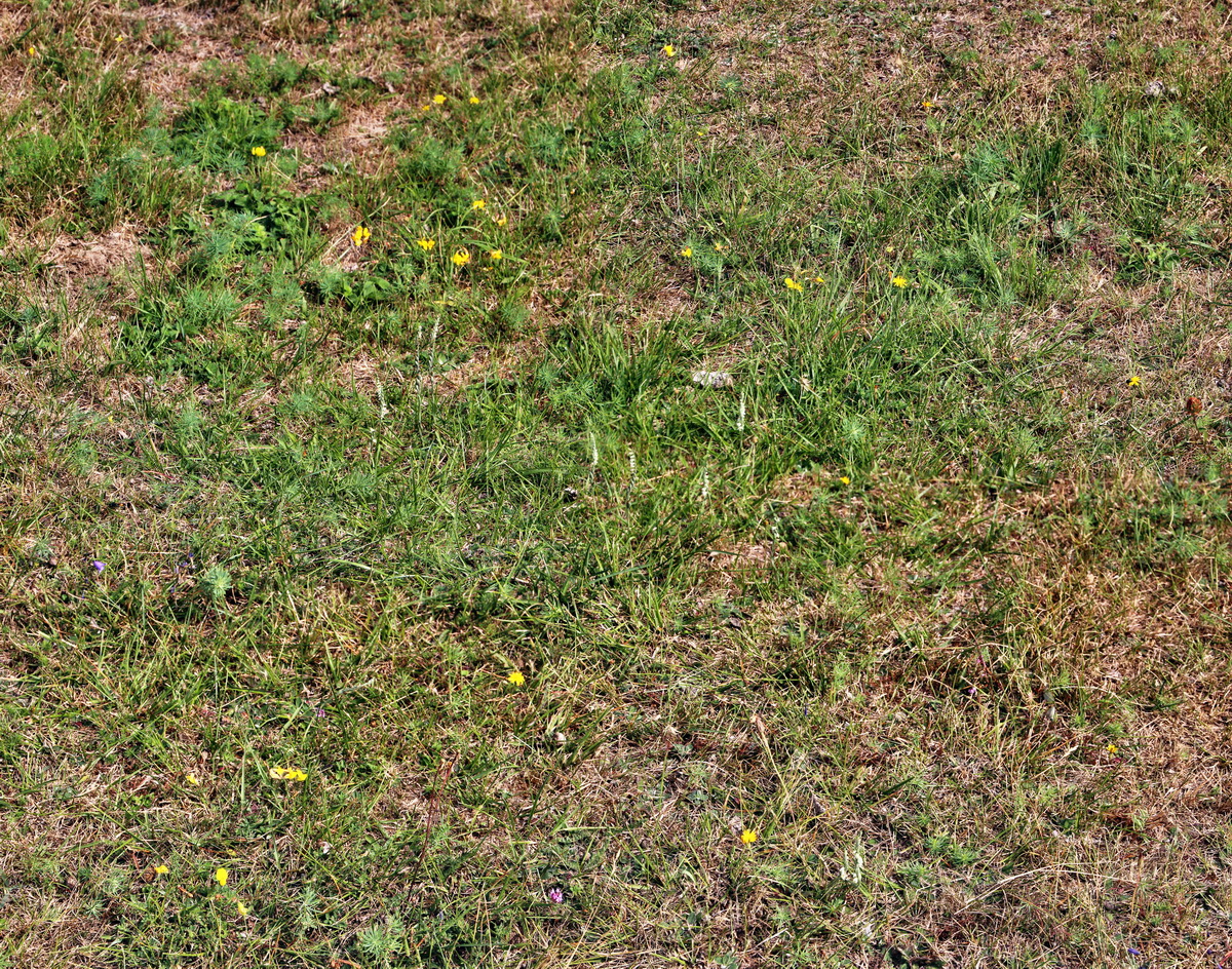 [Group 19]-2013_09_04_00030093_2013_09_04_00030103-6 imagesp_Bildgr��e �ndern