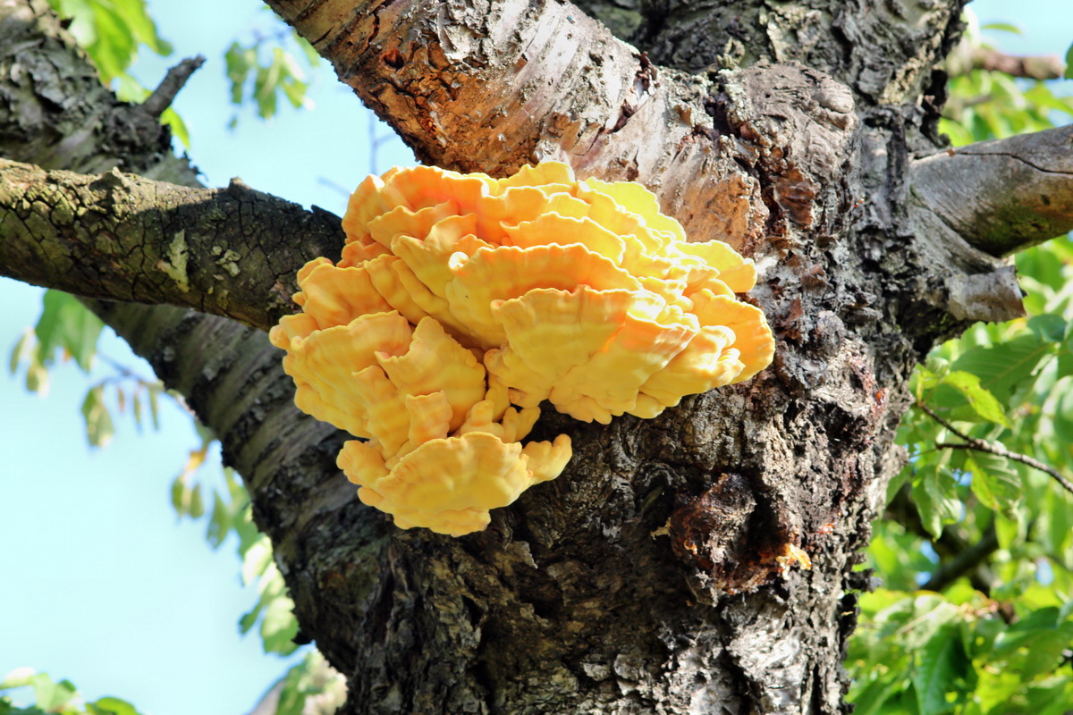 2013_09_04_00029927p_Bildgr��e �ndern