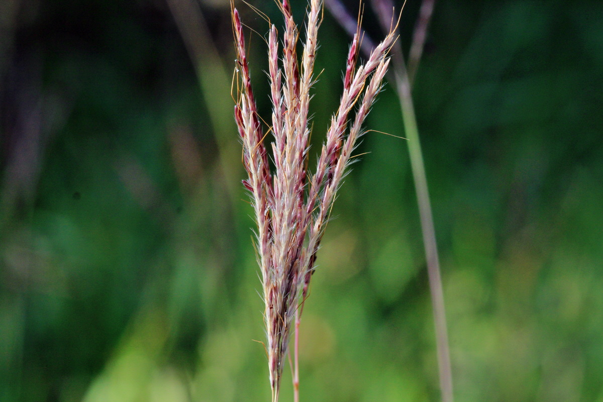 2013_09_04_00029959p_Bildgr��e �ndern