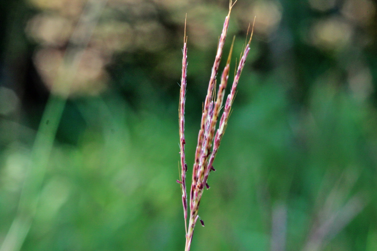 2013_09_04_00029963p_Bildgr��e �ndern