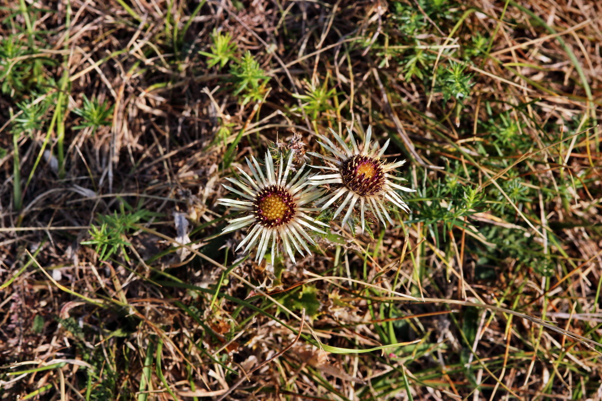 2013_09_04_00029966p_Bildgr��e �ndern