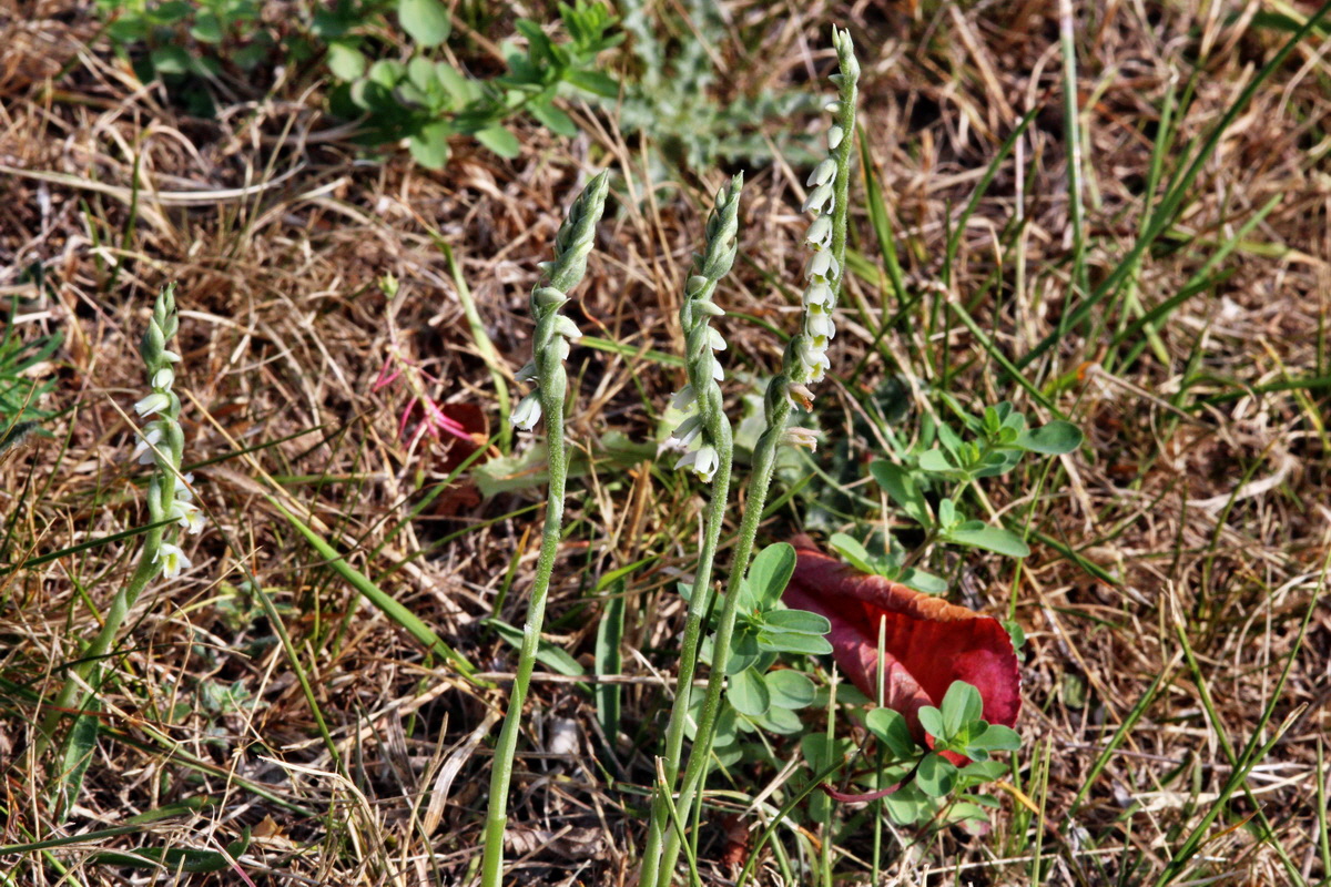 2013_09_04_00029973p_Bildgr��e �ndern