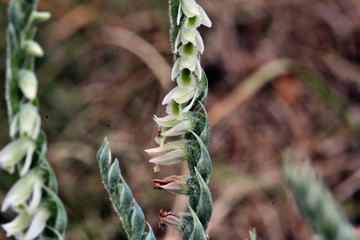 2013_09_04_00029974p_Bildgr��e �ndern