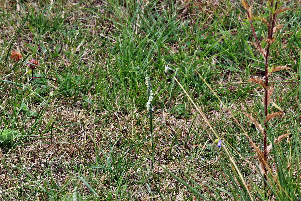 2013_09_04_00029997p_Bildgr��e �ndern