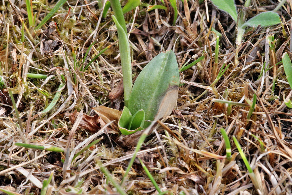 2013_09_04_00030003p_Bildgr��e �ndern