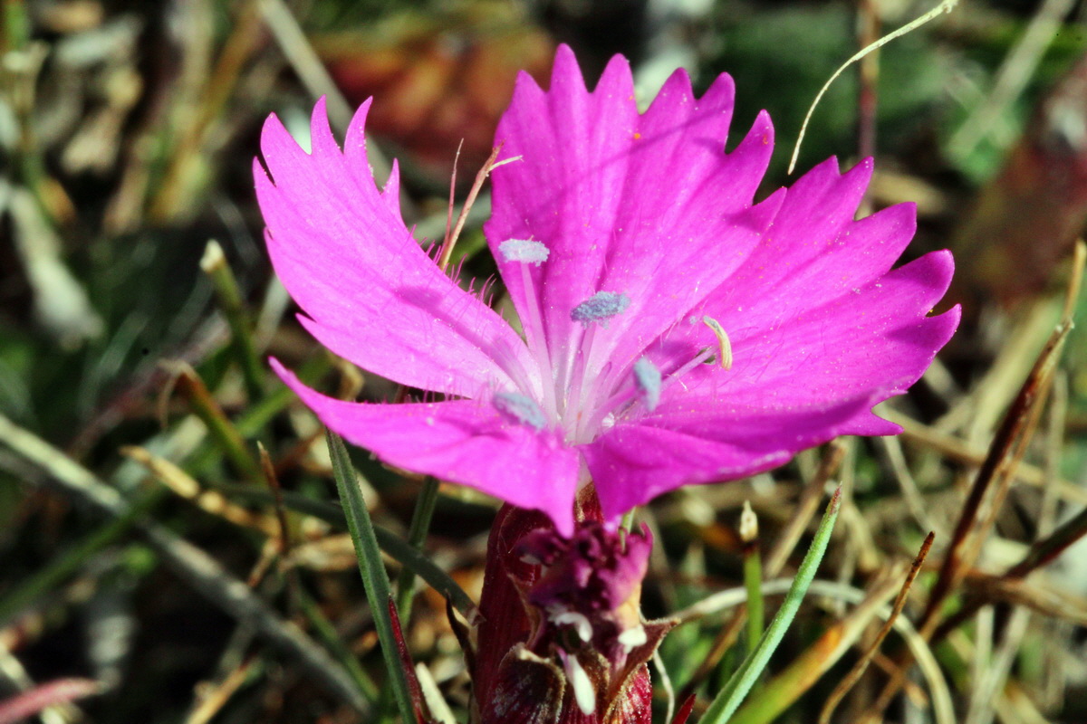 2013_09_04_00030027p_Bildgr��e �ndern