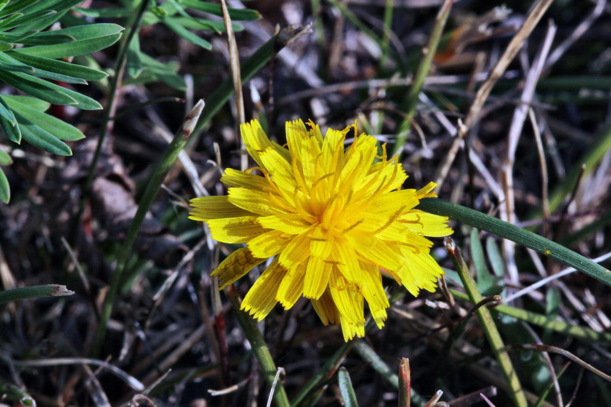 2013_09_04_00030034p_Bildgr��e �ndern