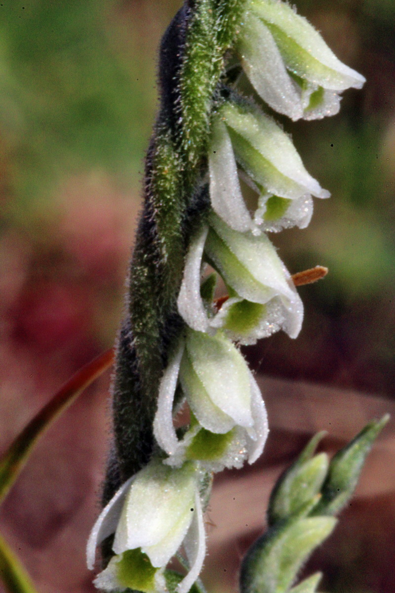 2013_09_04_00030044p_Bildgr��e �ndern