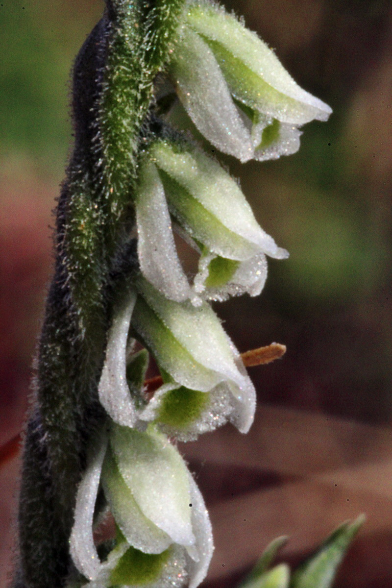 2013_09_04_00030056p_Bildgr��e �ndern