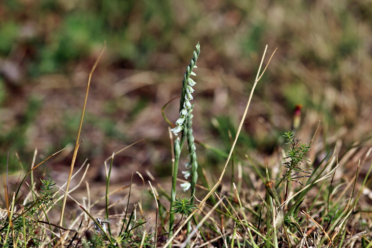 2013_09_04_00030077p_Bildgr��e �ndern