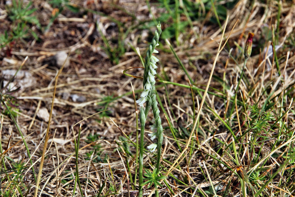 2013_09_04_00030086p_Bildgr��e �ndern