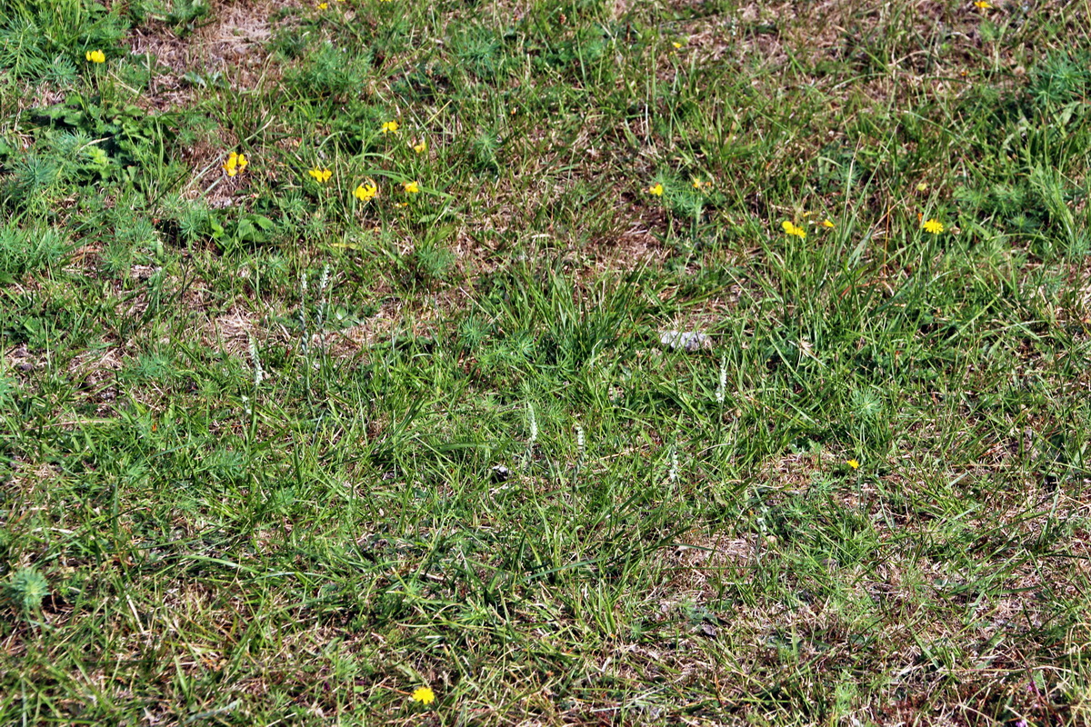 2013_09_04_00030091p_Bildgr��e �ndern