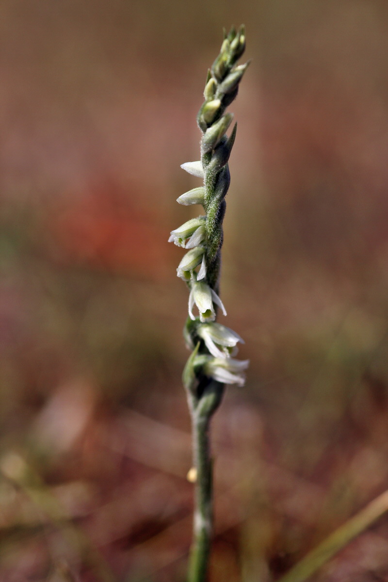 2013_09_04_00030129p_Bildgr��e �ndern