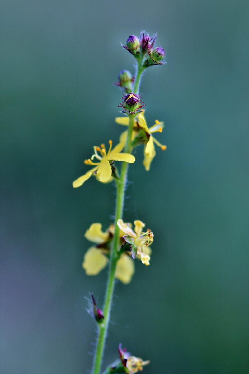 2013_09_04_00030164p_Bildgr��e �ndern