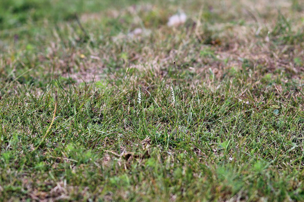 2013_09_04_00030172p_Bildgr��e �ndern