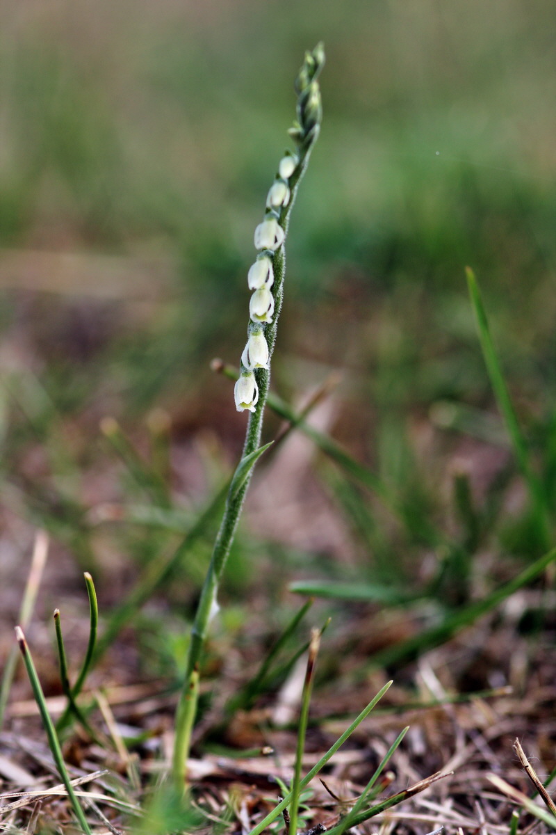 2013_09_04_00030184p_Bildgr��e �ndern