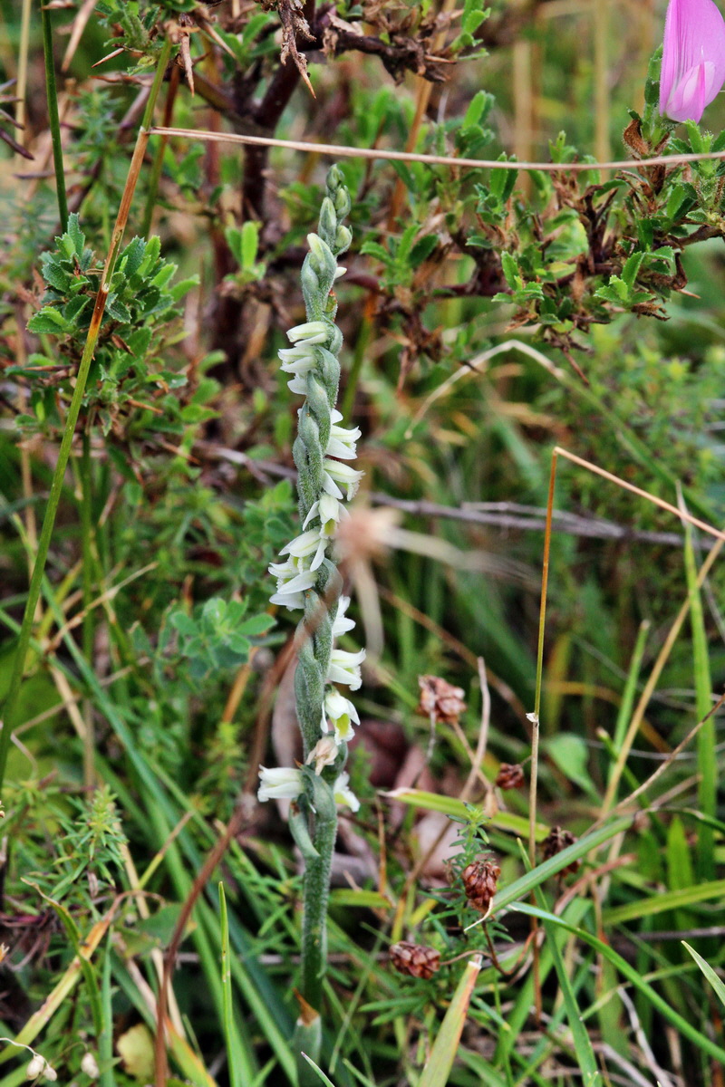 2013_09_04_00030215p_Bildgr��e �ndern