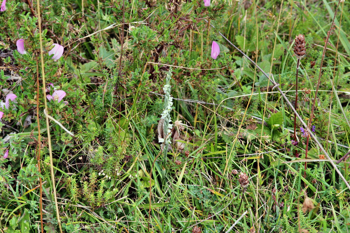 2013_09_04_00030219p_Bildgr��e �ndern