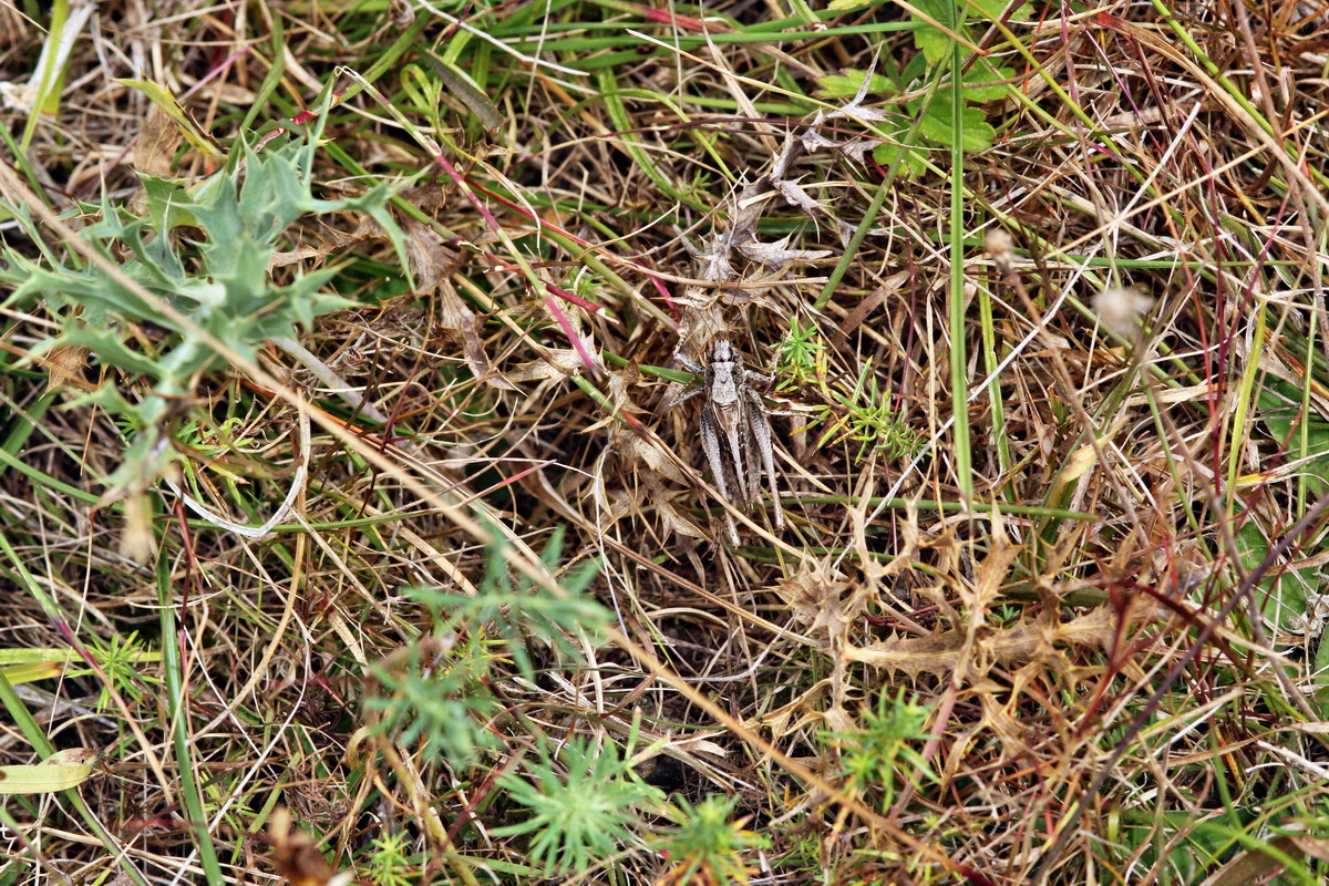 2013_09_04_00030281p_Bildgr��e �ndern