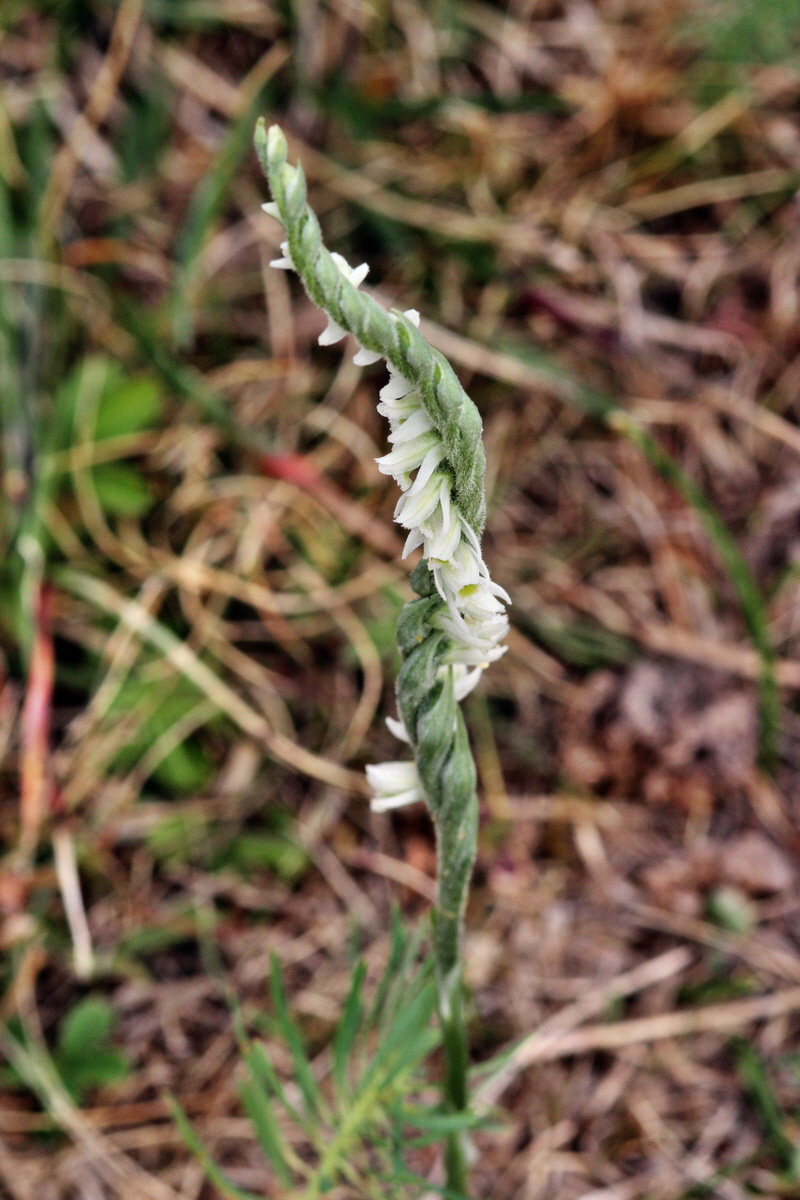 2013_09_04_00030282p_Bildgr��e �ndern