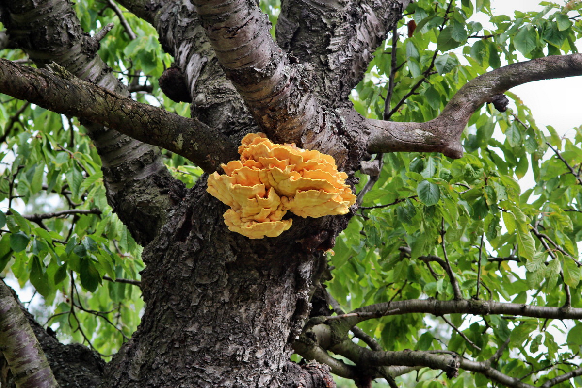 2013_09_04_00030290p_Bildgr��e �ndern