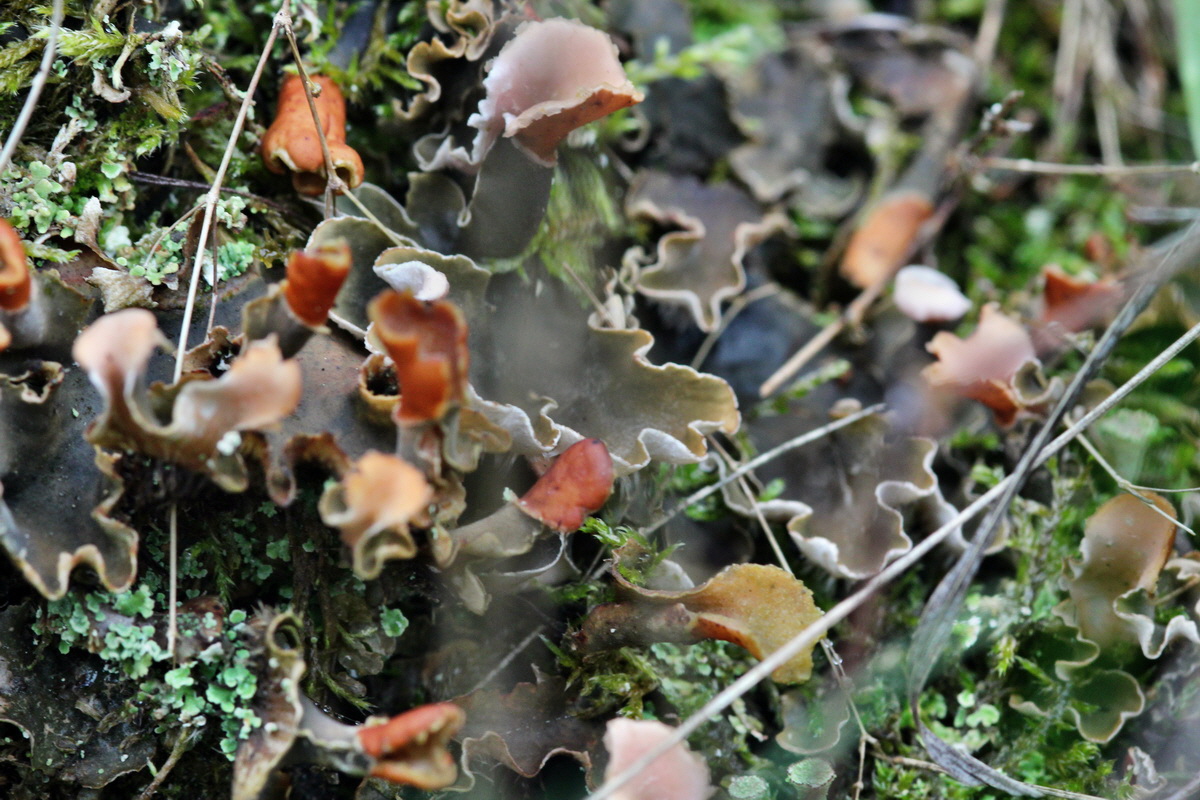 2013_09_15_00030547p_Bildgr��e �ndern