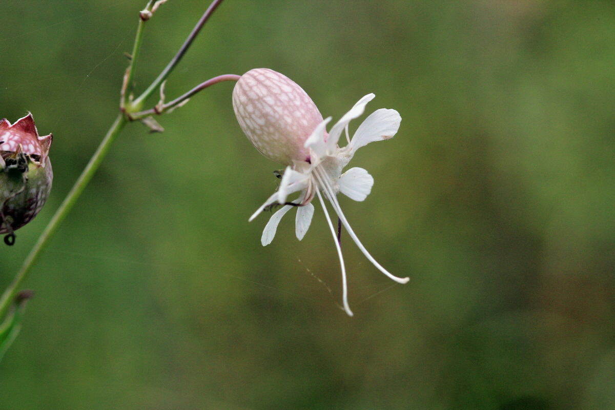 2013_09_15_00030551p_Bildgr��e �ndern