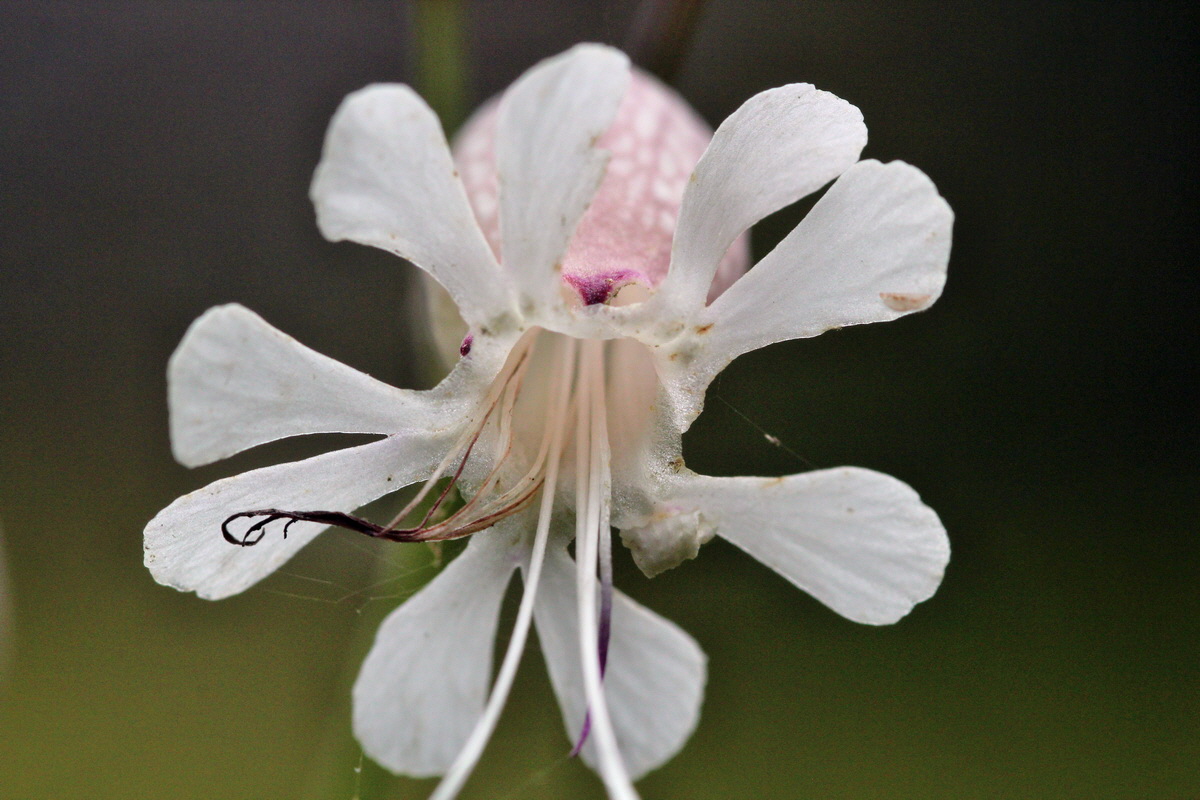 2013_09_15_00030553p_Bildgr��e �ndern