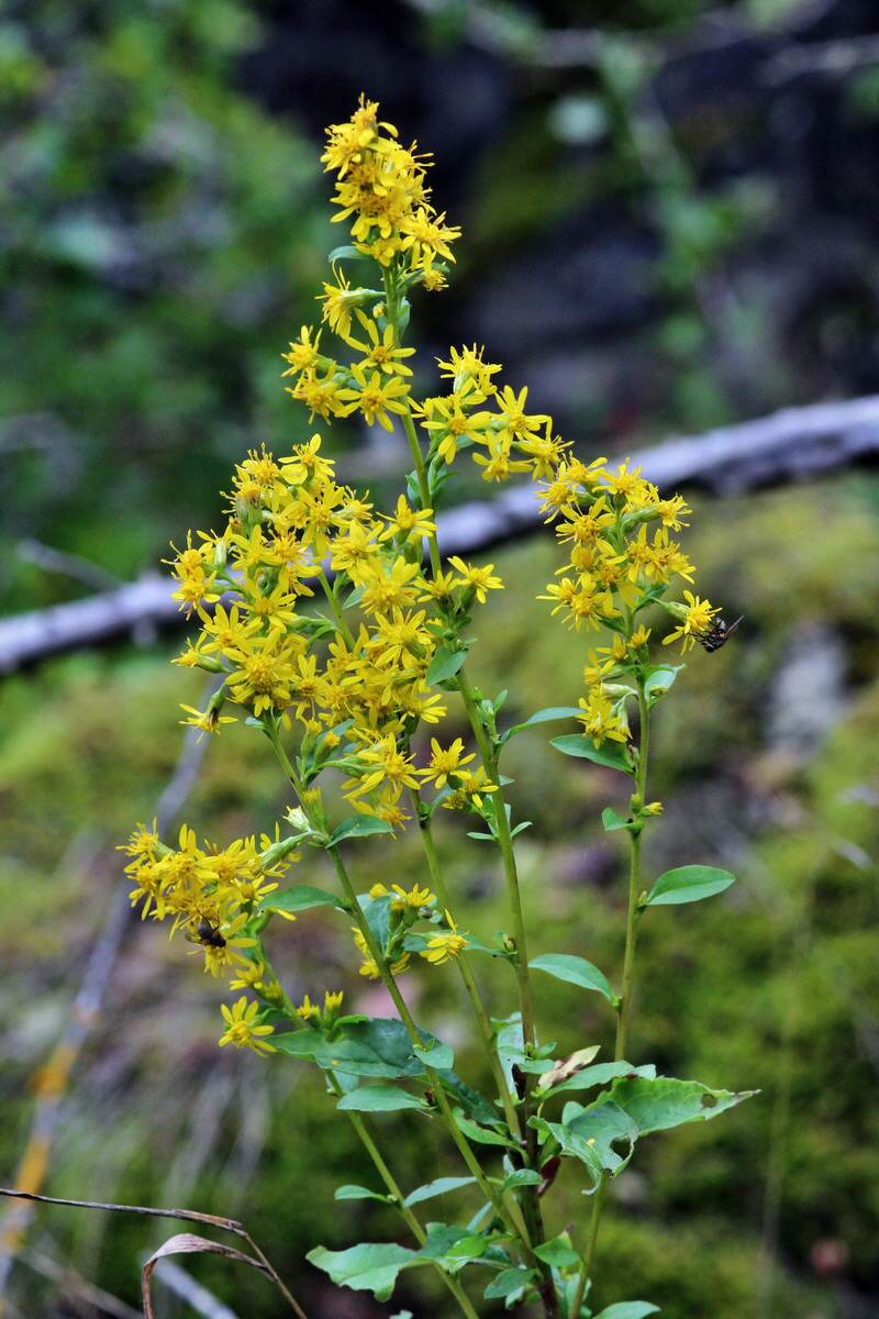 2013_09_15_00030556p_Bildgr��e �ndern