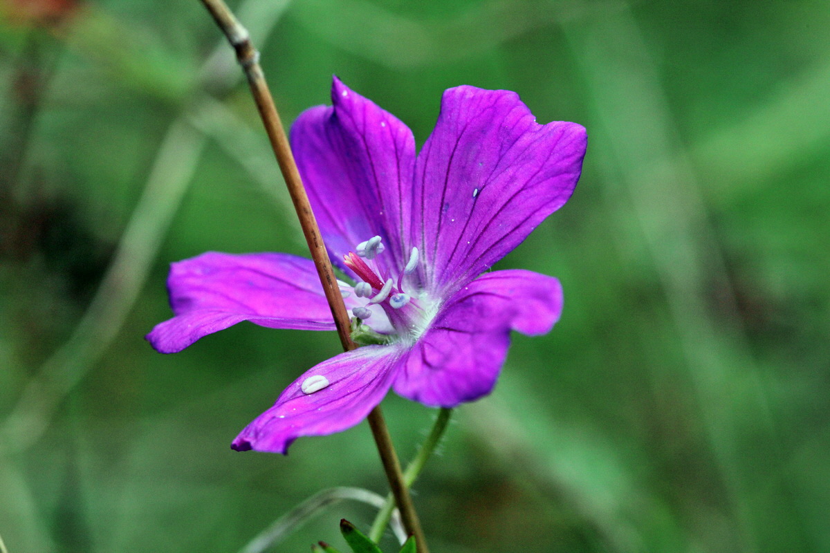 2013_09_15_00030559p_Bildgr��e �ndern