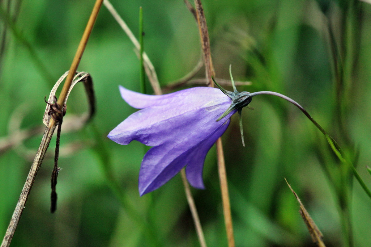 2013_09_15_00030565p_Bildgr��e �ndern