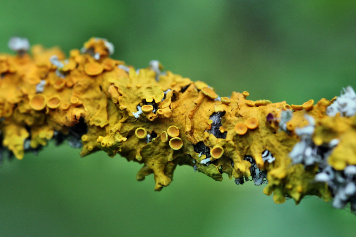 2013_09_15_00030569p_Bildgr��e �ndern