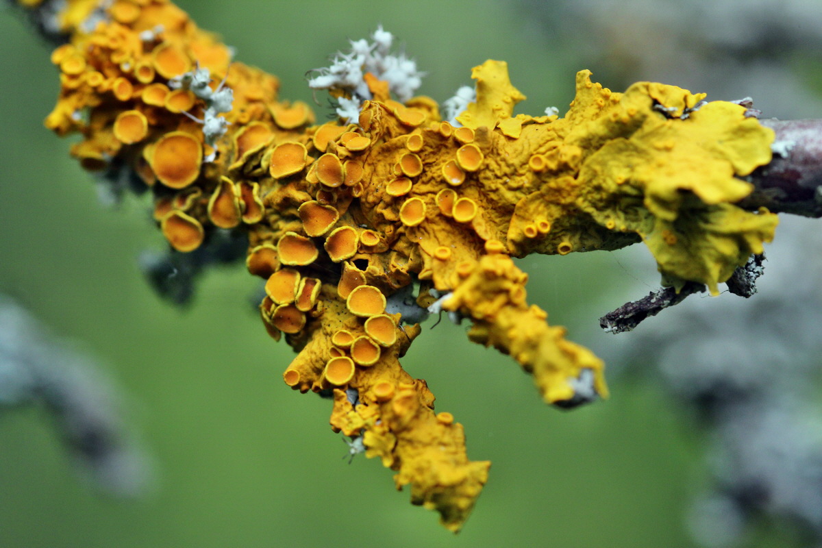 2013_09_15_00030574p_Bildgr��e �ndern