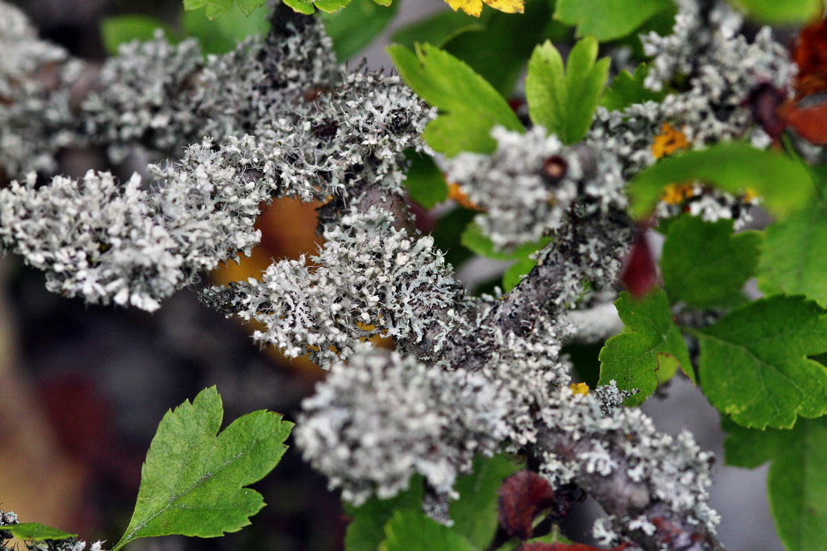 2013_09_15_00030588p_Bildgr��e �ndern