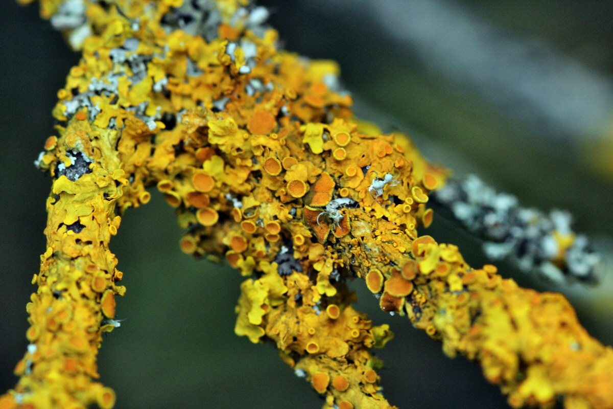 2013_09_15_00030592p_Bildgr��e �ndern