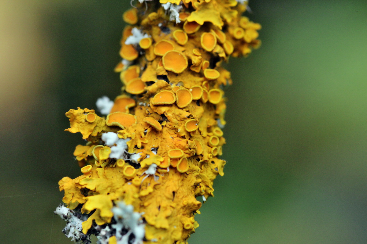 2013_09_15_00030593p_Bildgr��e �ndern