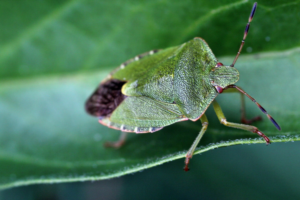 2013_09_15_00030614p_Bildgr��e �ndern