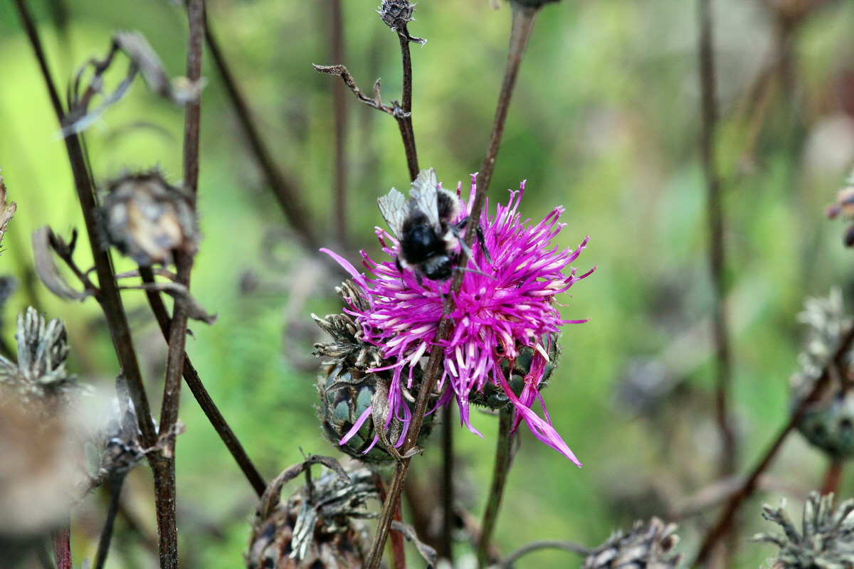 2013_09_15_00030629p_Bildgr��e �ndern