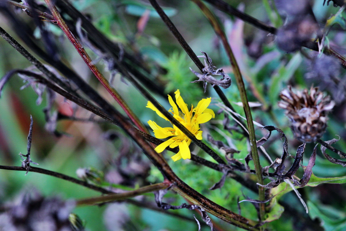 2013_09_15_00030631p_Bildgr��e �ndern