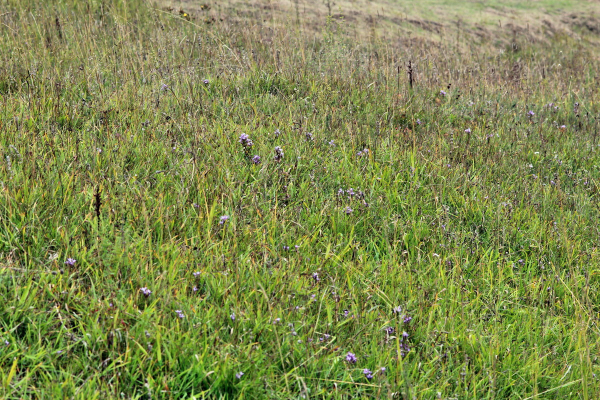 2013_09_15_00030635p_Bildgr��e �ndern