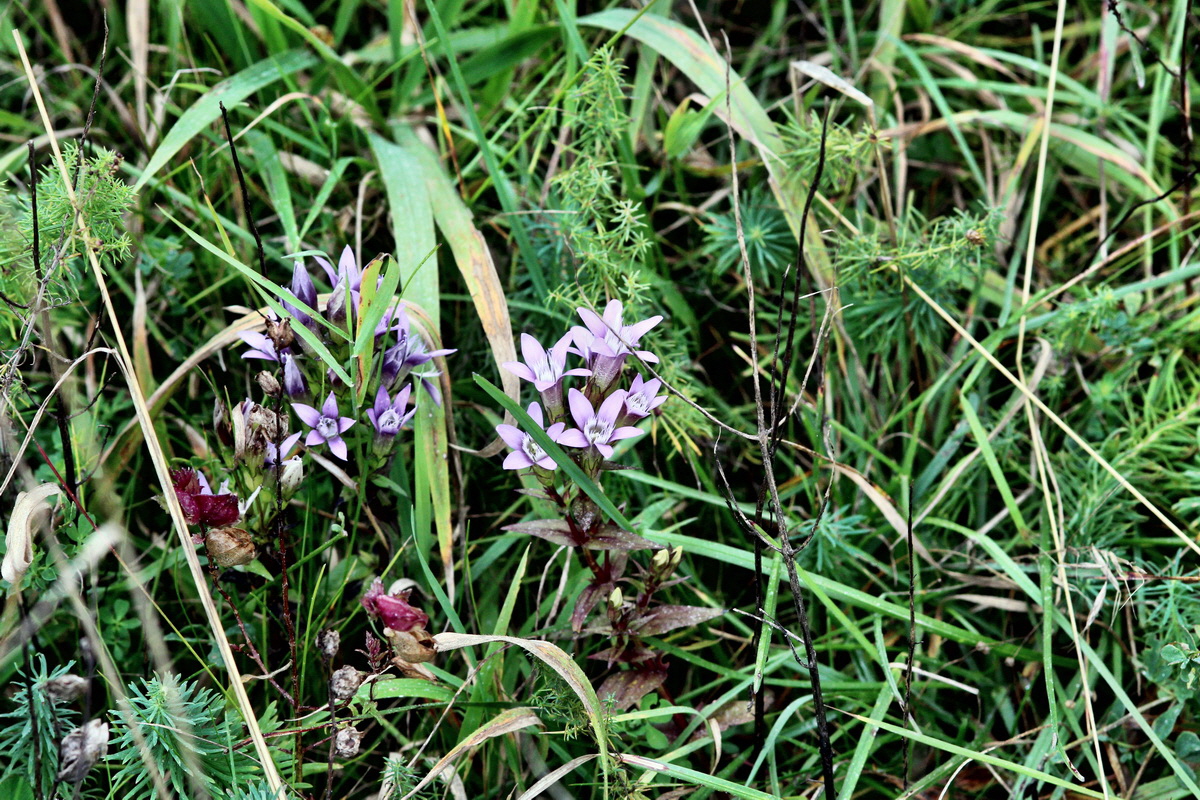 2013_09_15_00030646p_Bildgr��e �ndern