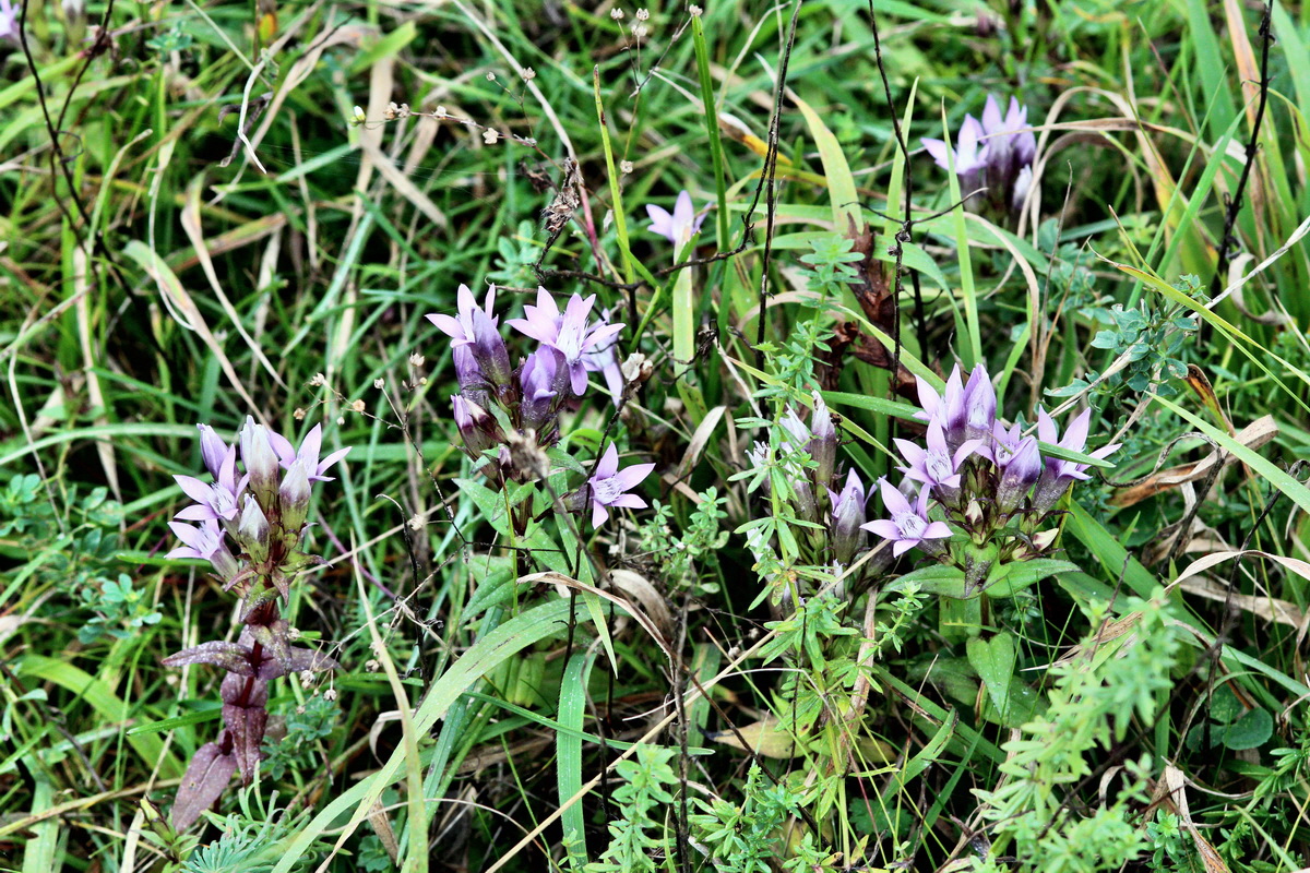 2013_09_15_00030648p_Bildgr��e �ndern