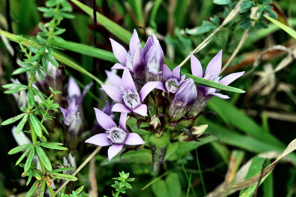 2013_09_15_00030651p_Bildgr��e �ndern