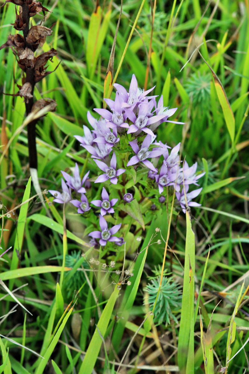 2013_09_15_00030658p_Bildgr��e �ndern