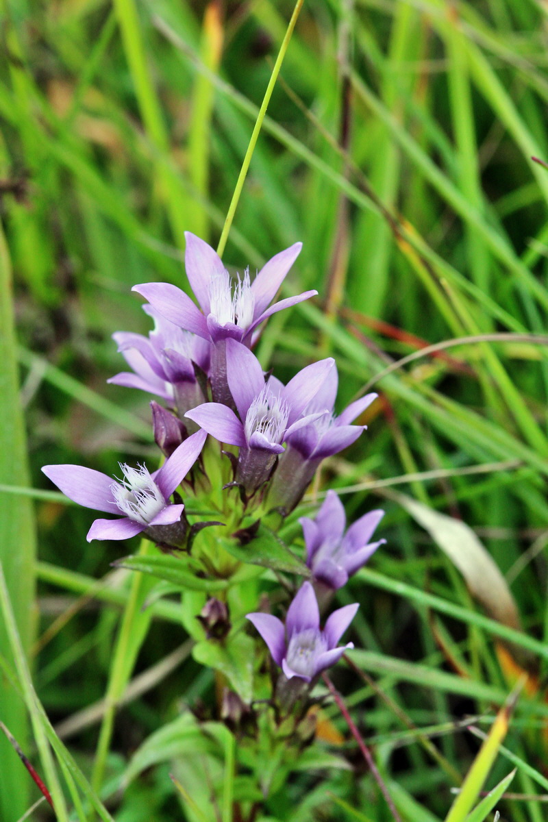 2013_09_15_00030661p_Bildgr��e �ndern