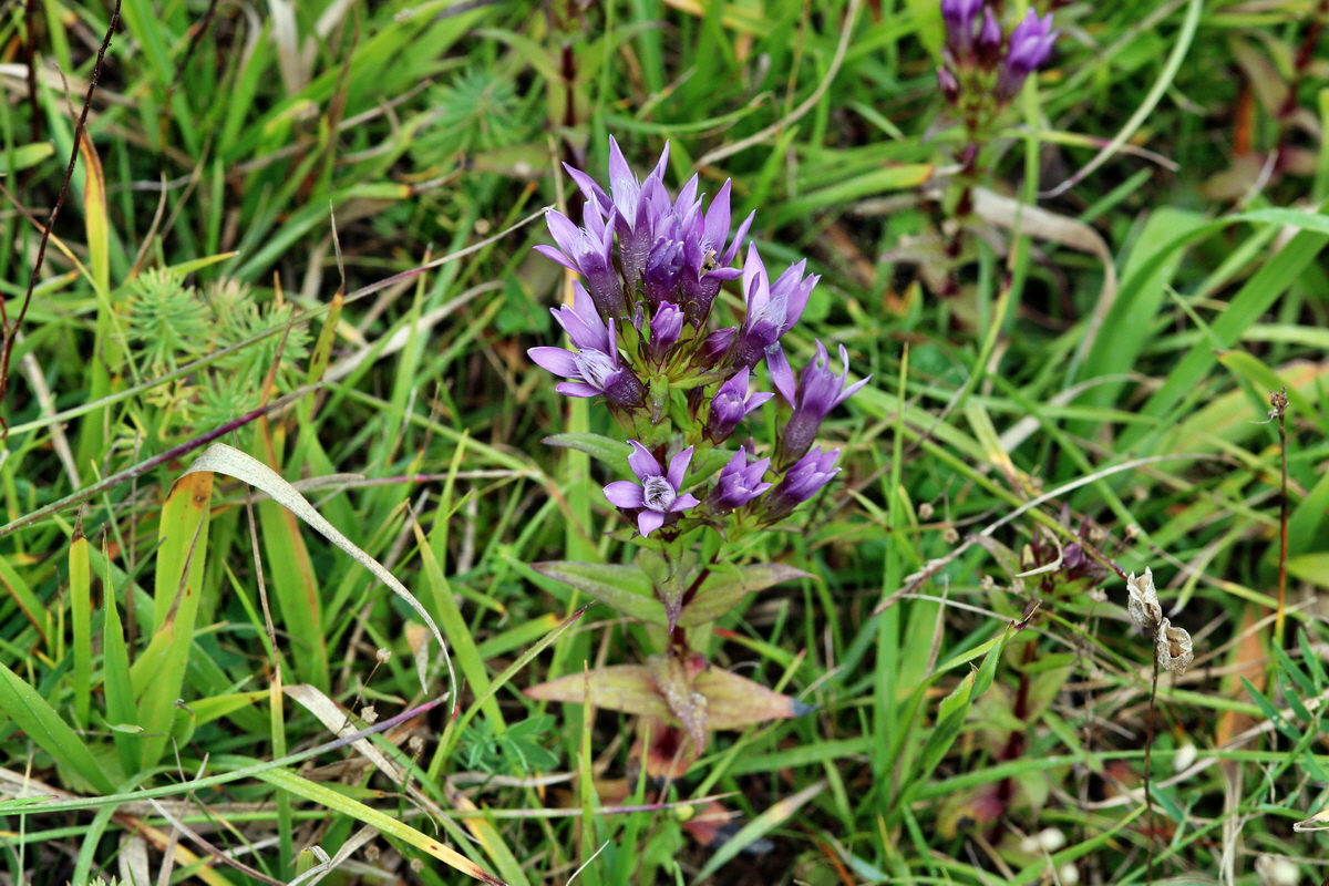 2013_09_15_00030671p_Bildgr��e �ndern