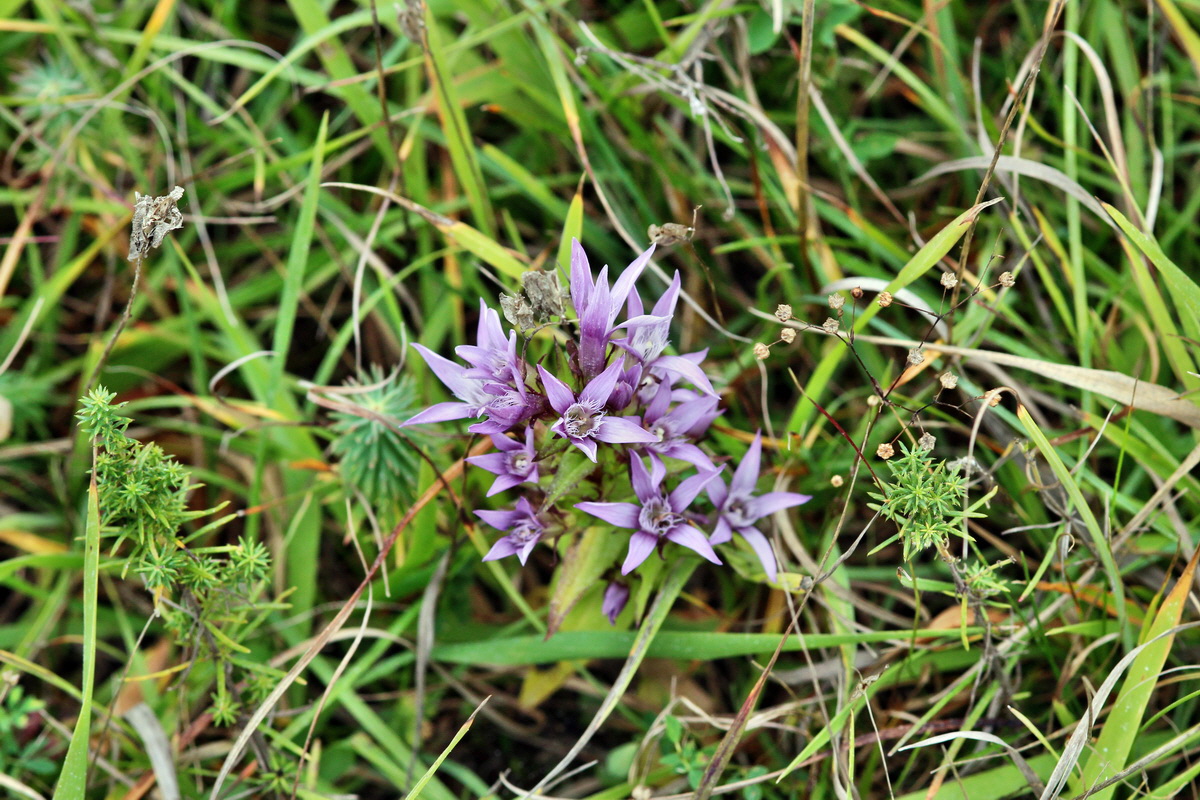 2013_09_15_00030682p_Bildgr��e �ndern