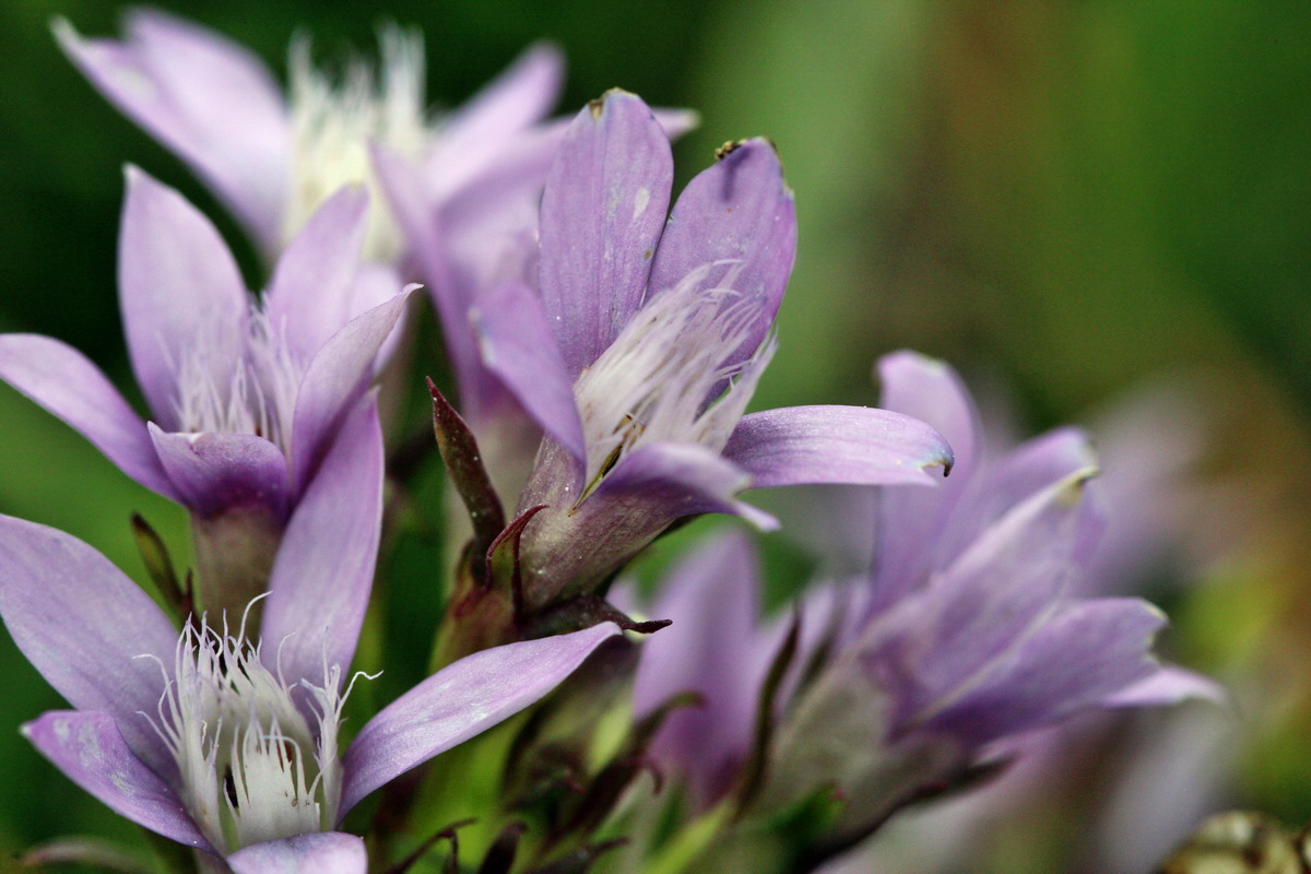 2013_09_15_00030702p_Bildgr��e �ndern